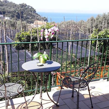 Agriturismo La Lobra Massa Lubrense Luaran gambar