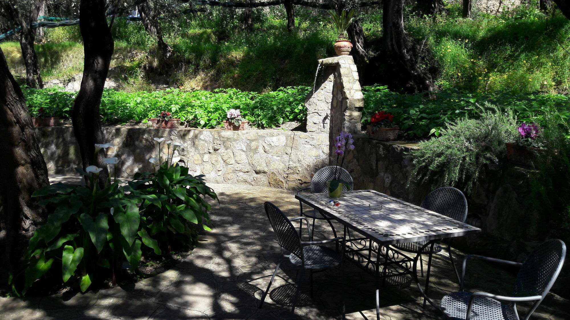 Agriturismo La Lobra Massa Lubrense Luaran gambar